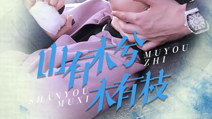 🌟《山有木兮木有枝》：60集古风短剧，张添景&彭瑶带你穿越爱情迷雾🌟​🎬古风爱情，穿越时空的浪漫