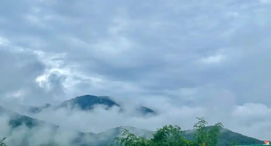 萌新小说写小说第十一天，究竟是什么感受？