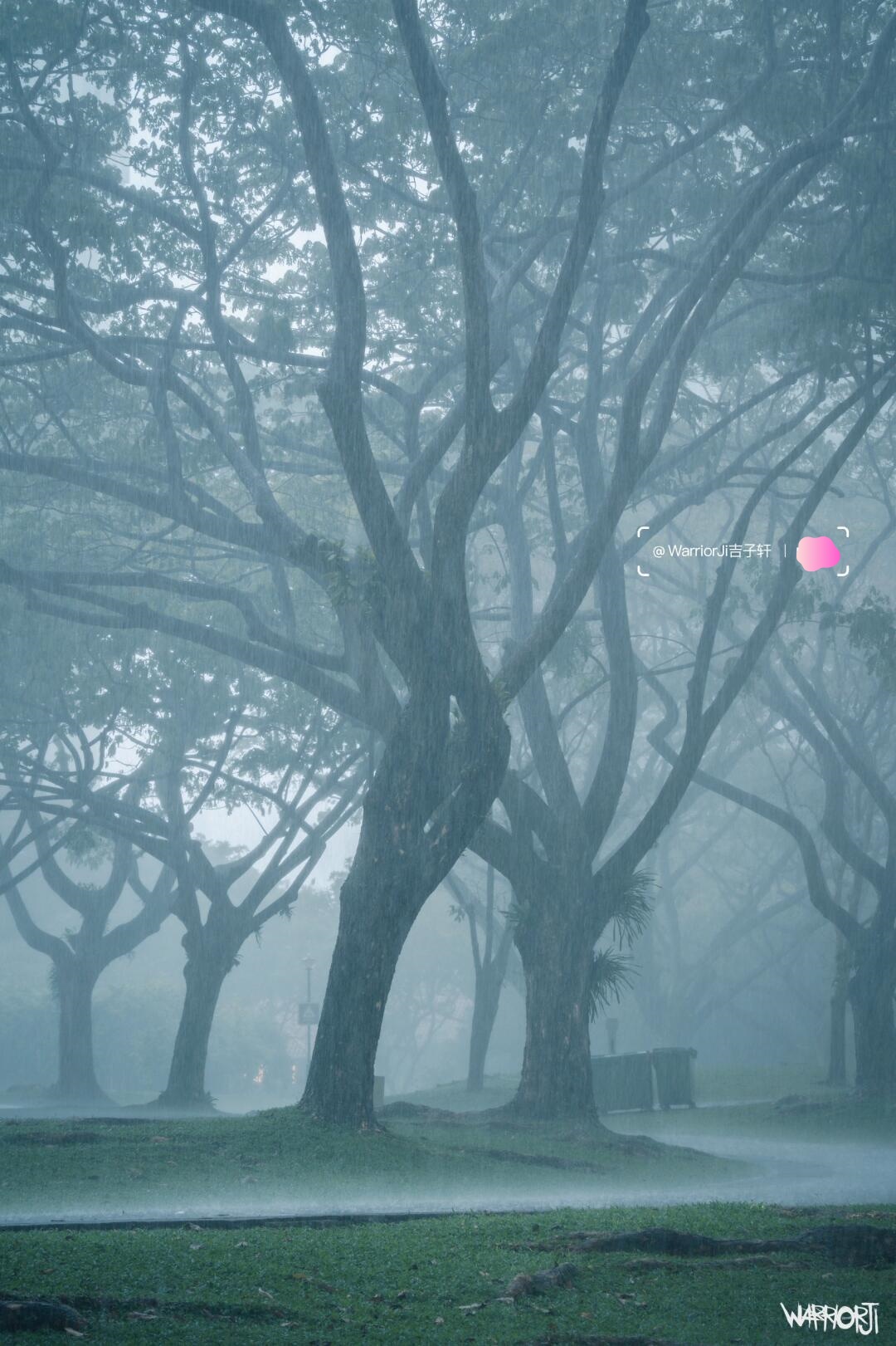 🇸🇬坡坡这3️⃣个地方阴天也可以很出片这次来坡遇到了狮城的雨季🌧️，连续冲