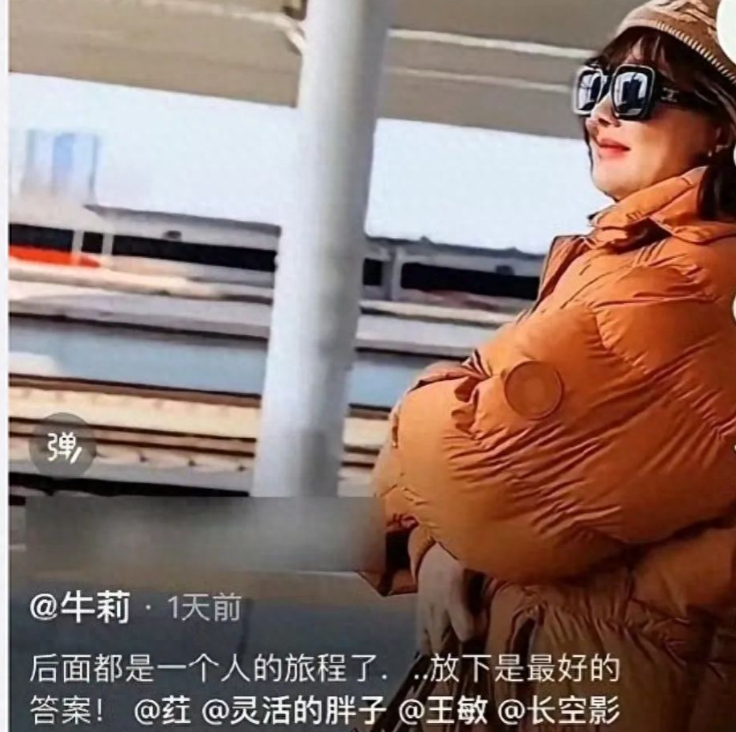 51岁女演员牛莉在社交媒体上发布的一则视频引发离婚猜测！她配文称“后面都是一个人