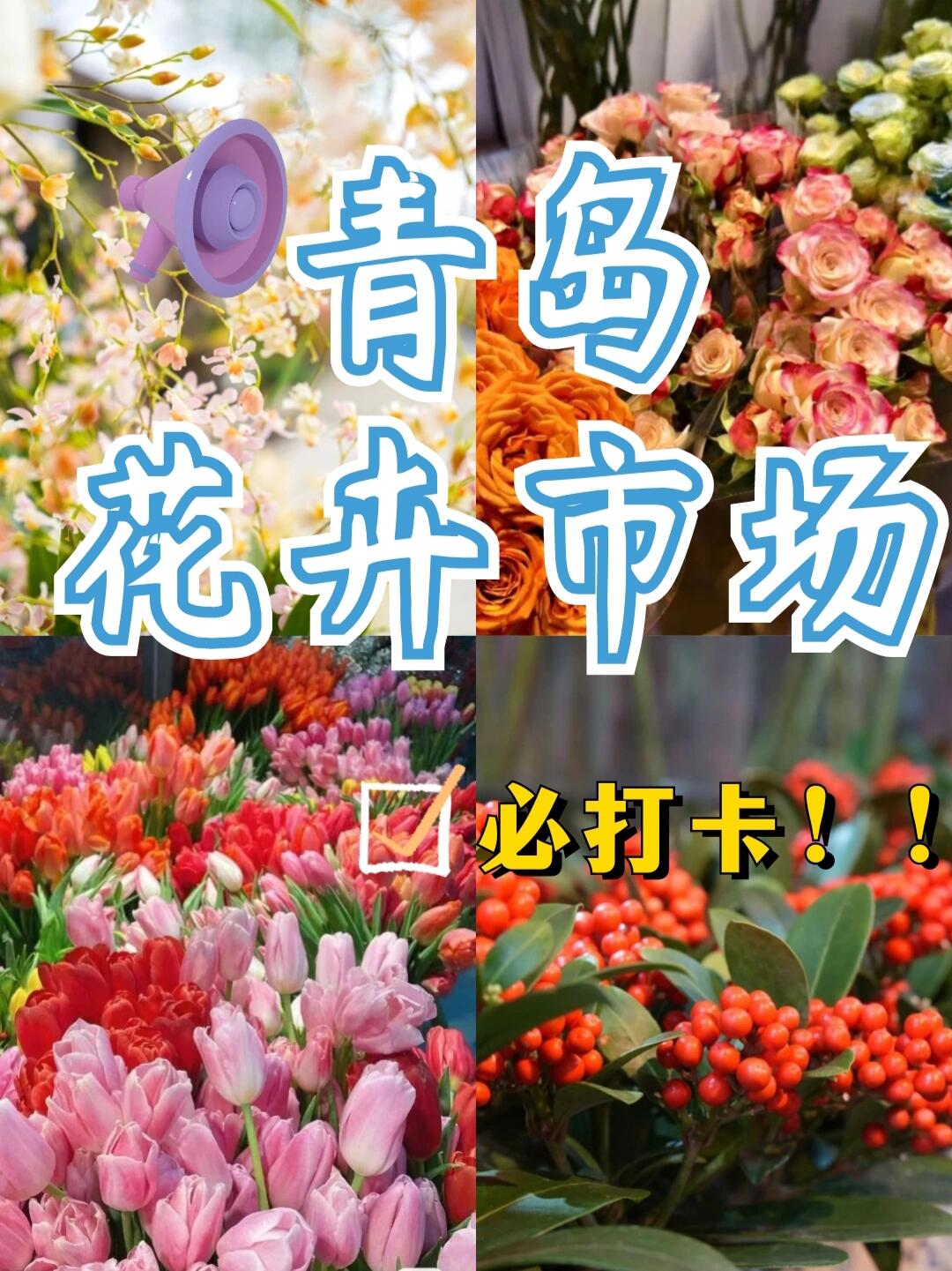 春节买花🌺