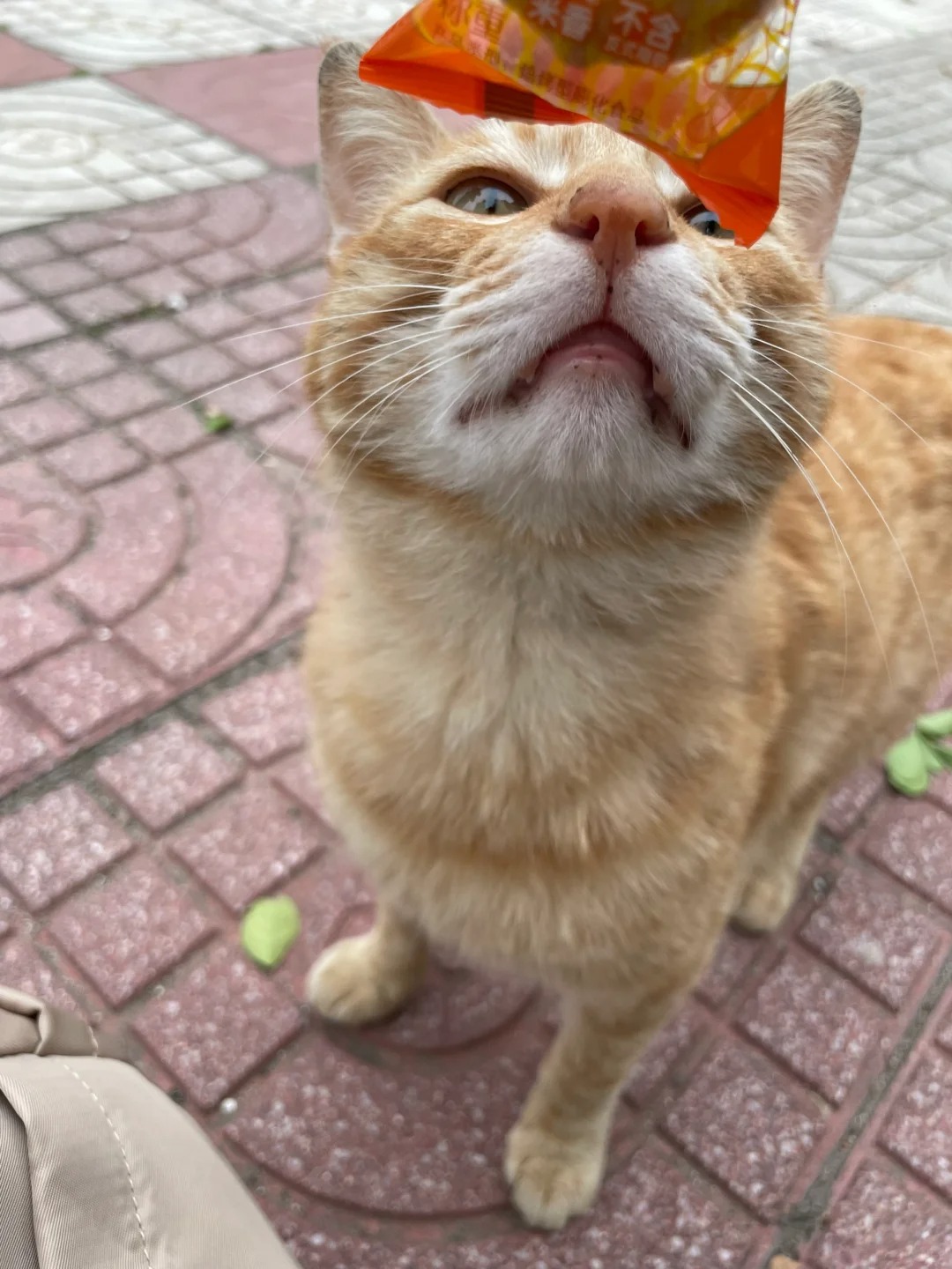 像板凳一样