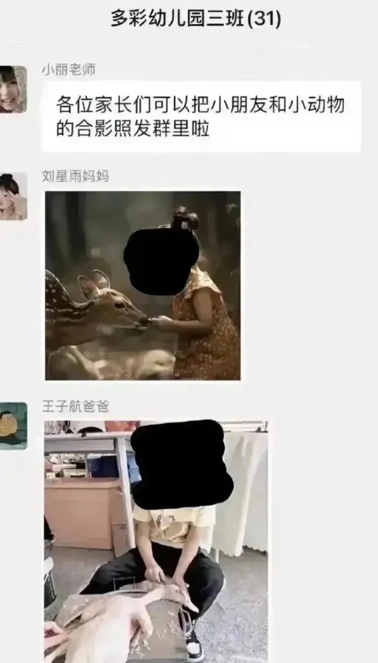 王子航爸爸，你可以退群了