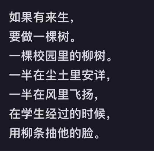 太搞笑了呢