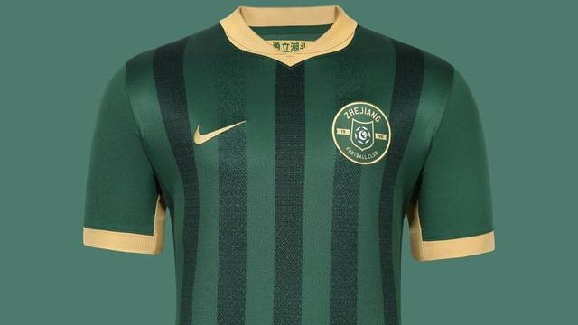 2025中超16队巡礼-浙江