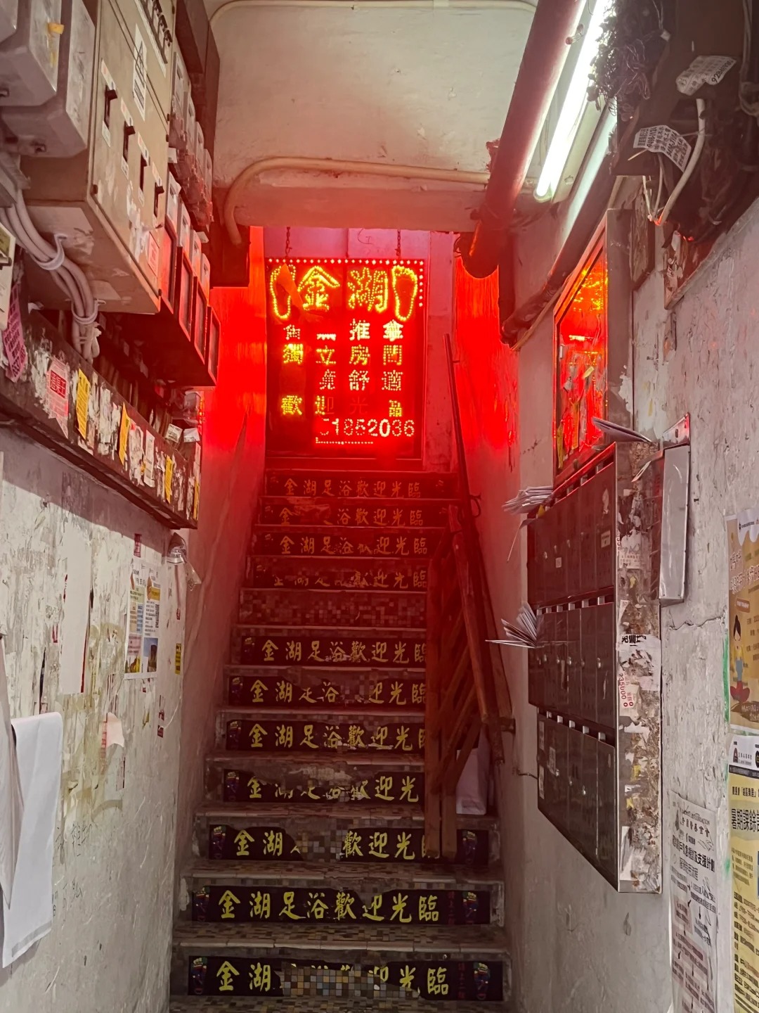 你是一年港硕女，却把香港视为精神故乡。
在jobsdb上看着到手15k的工资嗤笑