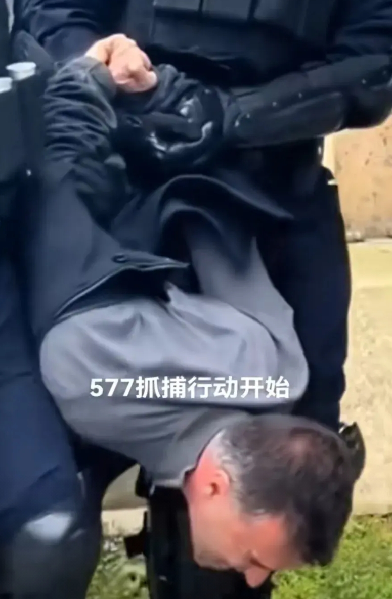 武契奇抓捕行动开始早该强势清场，抓捕组织者，对待颜色和狗 腿子，绝不能手软
白天
