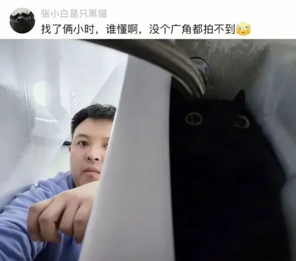 躲猫猫，藏猫猫，累死人类