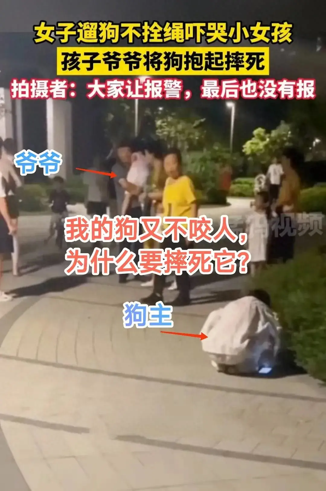 宠物狗吓哭小孩被爷爷摔死，这三点让人难以理解。

1. 为什么态度这么无所谓？孩