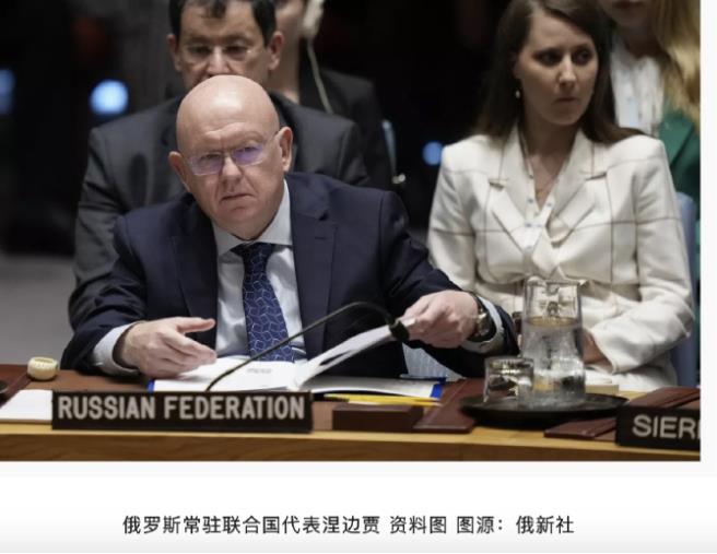 俄代表在安理会一句话，让中方偷着乐，而德日脸色铁青！

俄新社1月3日报道，俄代