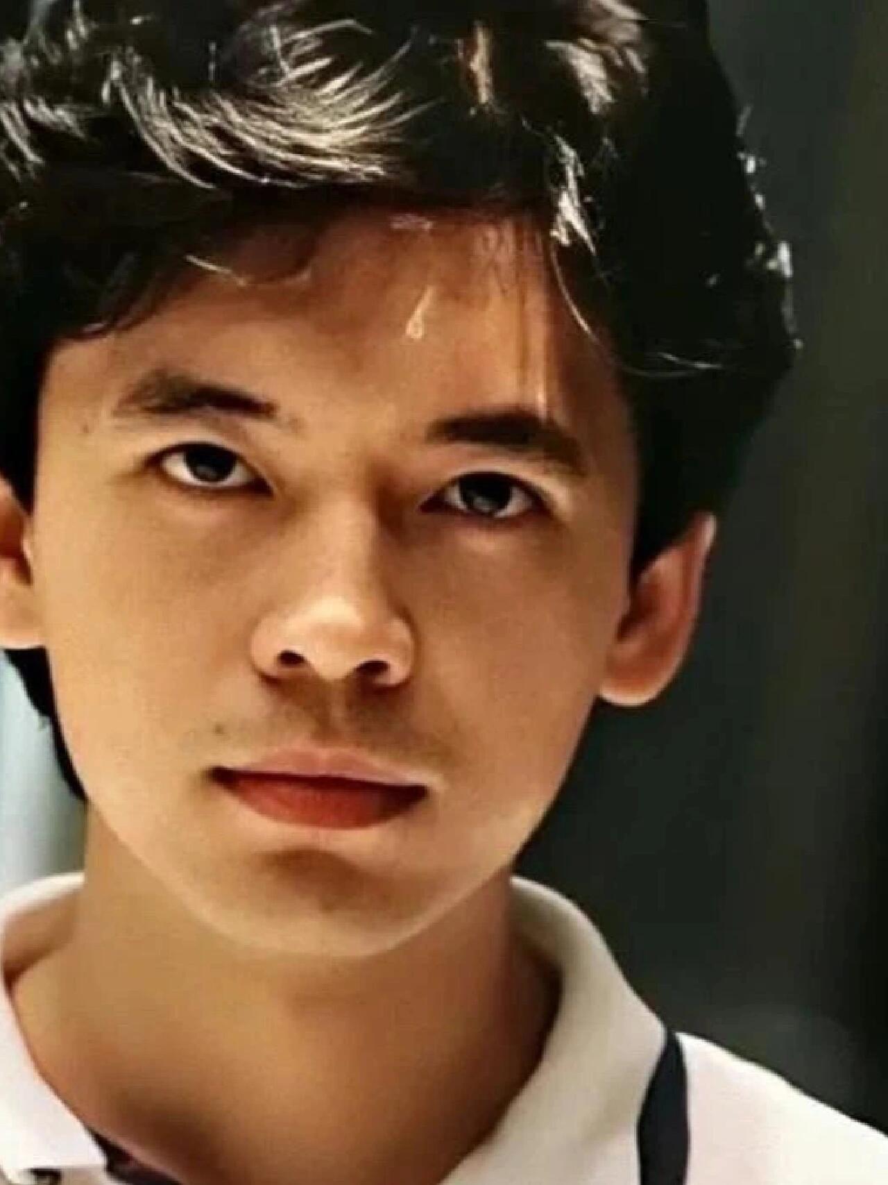 何政军的演艺之路