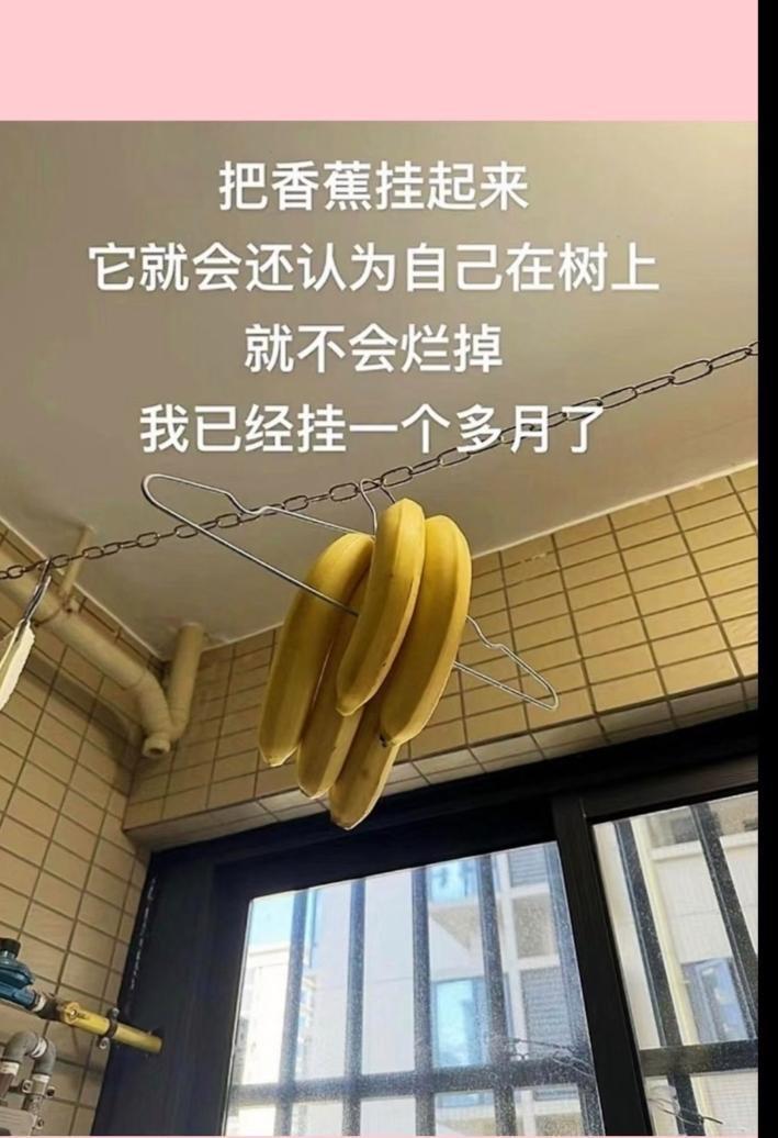 笑死了：搞笑神评论！哈哈哈哈！