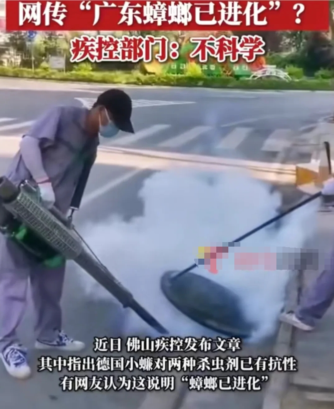 疾控部门：“网传广东蟑螂已进化，不科学！”

这可能是广东朋友们最关心的一个话题