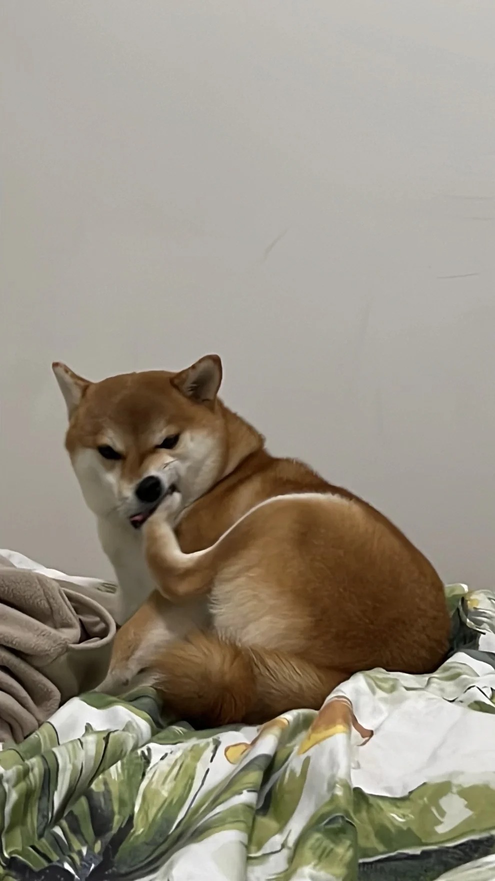 脚太小了真的很生气