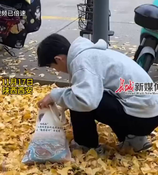 11月17日，陕西西安。一男生花费八九个小时，用银杏叶做成花束，送给喜欢的女生。