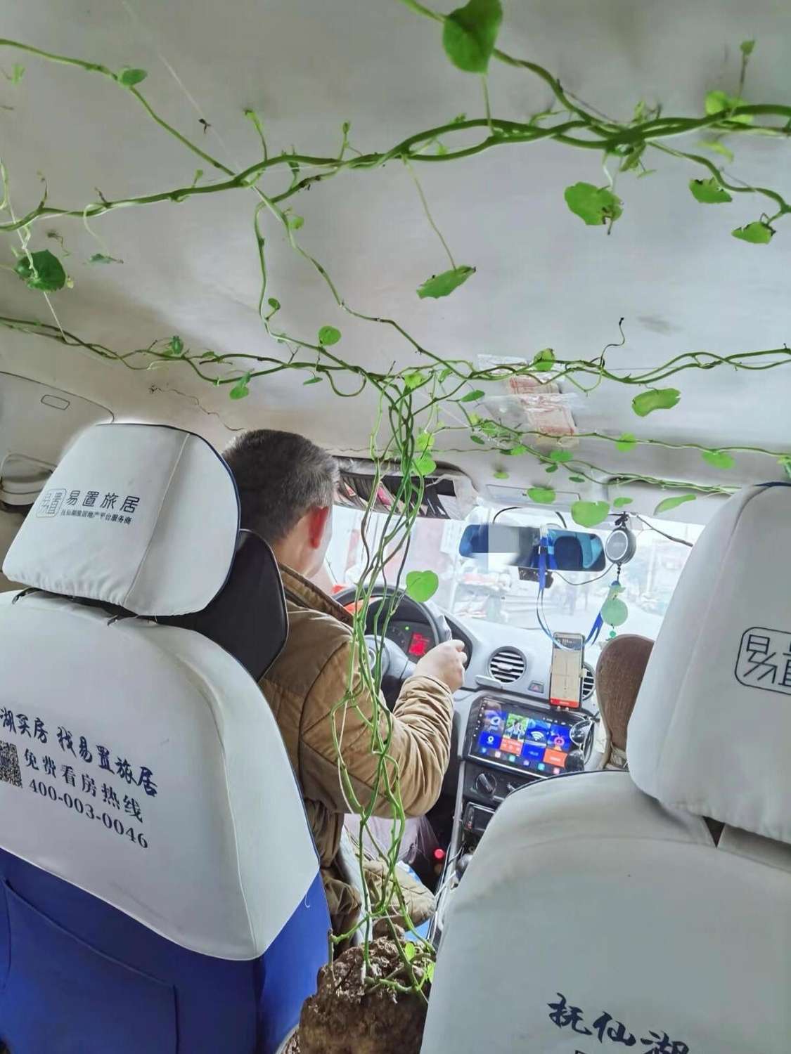 绿植也可以随身带着了