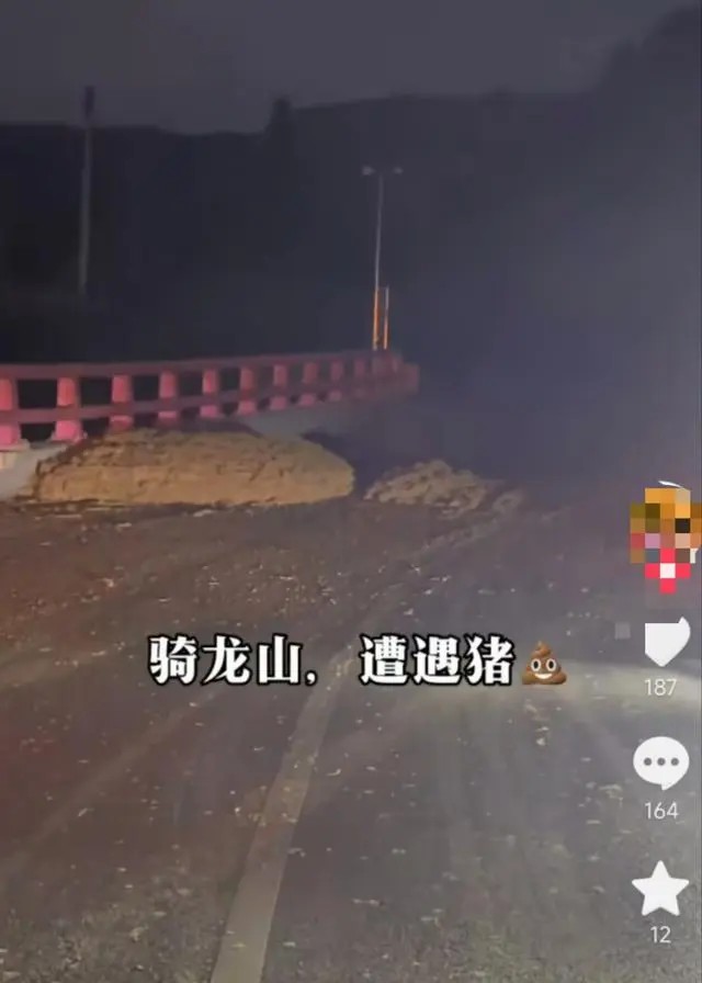 摩托车炸街遇粪便堵路