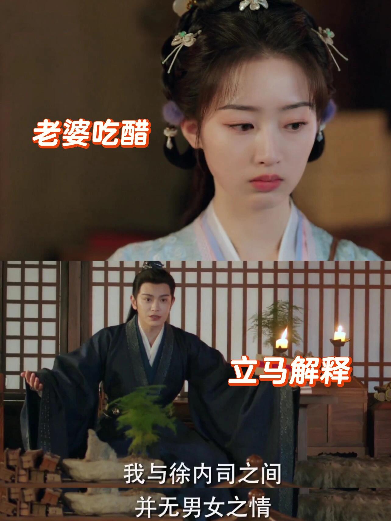 沈渡是我见过最有眼力见的男主