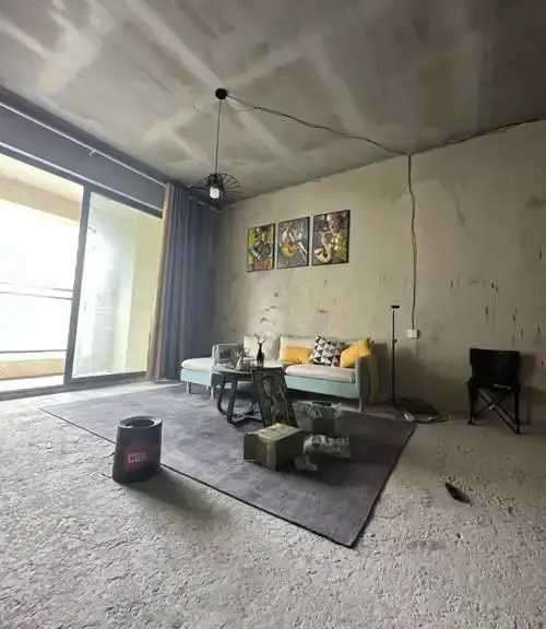 入住这要的房子也行