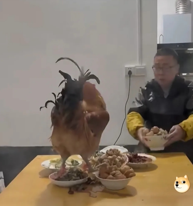 春节的到来家家户户都沉浸在
节日的氛围中准备丰盛的佳肴。
画面里，一只公鸡昂首立