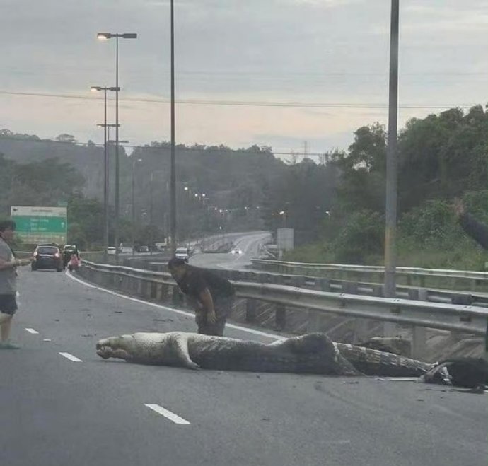 惨烈的车祸现场