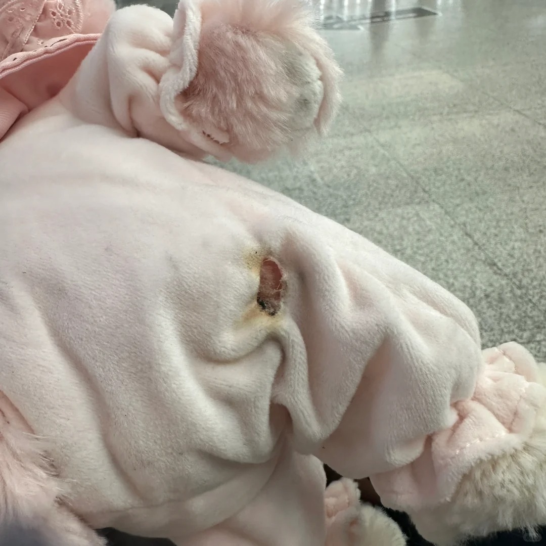 在迪士尼乱扔烟头你真是罪该万死
刚买的贝儿都没超过二十四小时直接被你烫个大洞 还