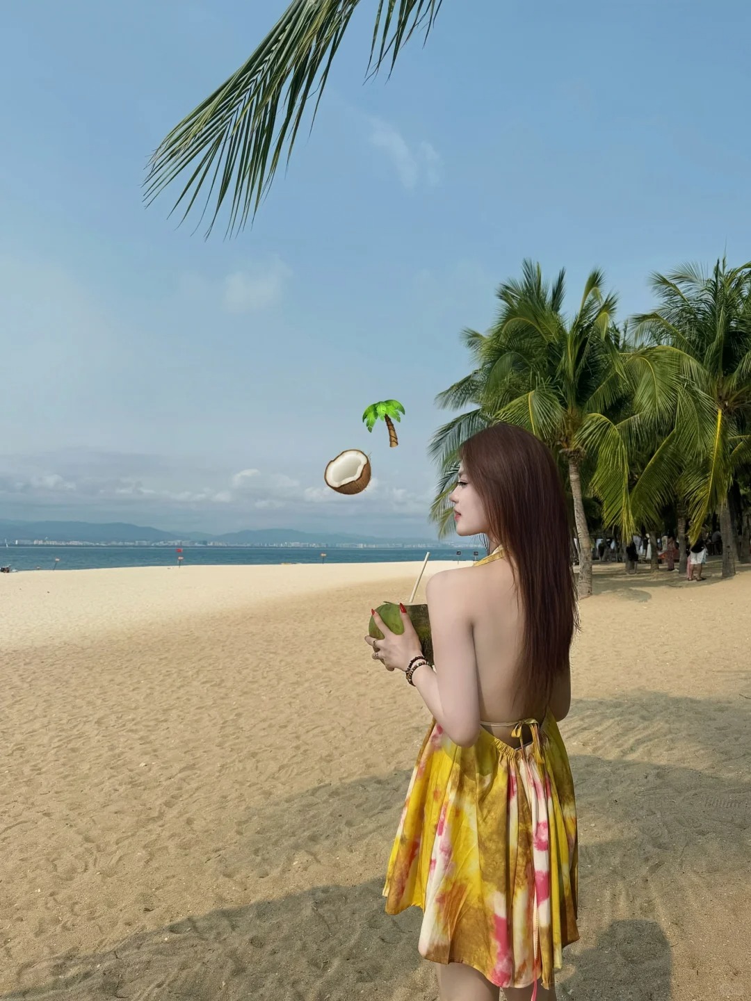 🌴海岛小记