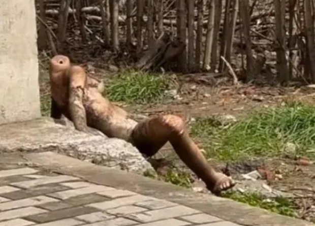 亏是白天看到的，要是晚上看到， 这不得吓得够呛
 ⁡ ⁡ ⁡