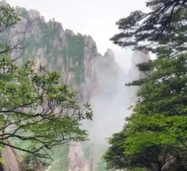 四山魅力引沉醉