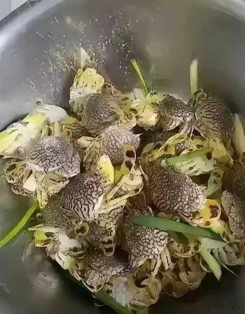 嘿，瞅见这玩意儿没？这到底是啥奇妙东西？怎么就没人站出来说说呢？谁能告诉我谁吃过