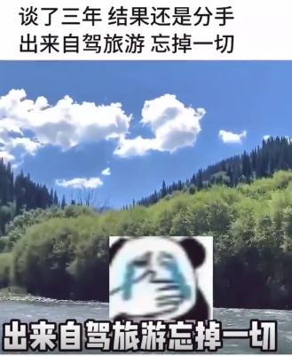 网友的安慰方式还真有一套！