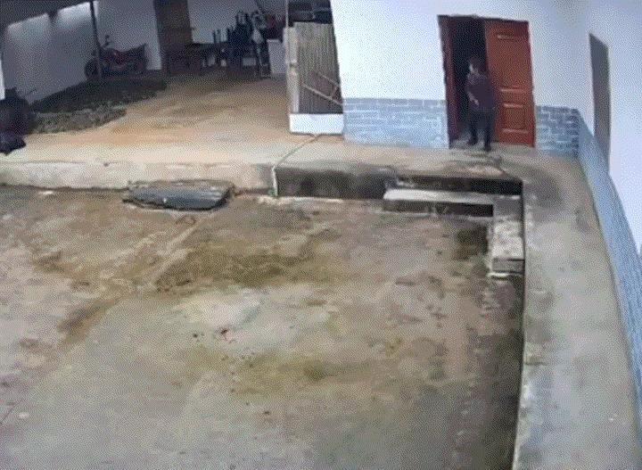 视频显示，事发时间为上午九点五十左右，一头野猪冲进院子后四处游走，一名老人从房屋