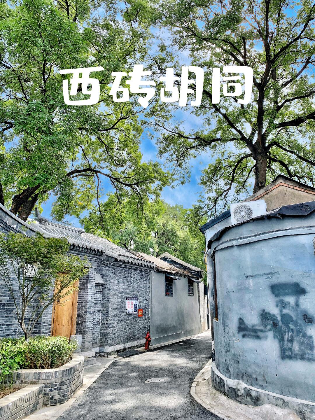 北京citywalk 法源寺旁，人少景美的小众胡同