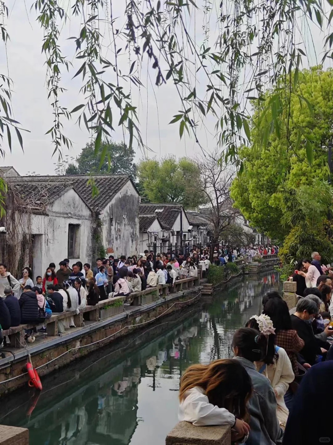 呆家里吧，别来平江路了😡
再也不来平江路啦哭死😭😭😭😭太多人了窒息了快
