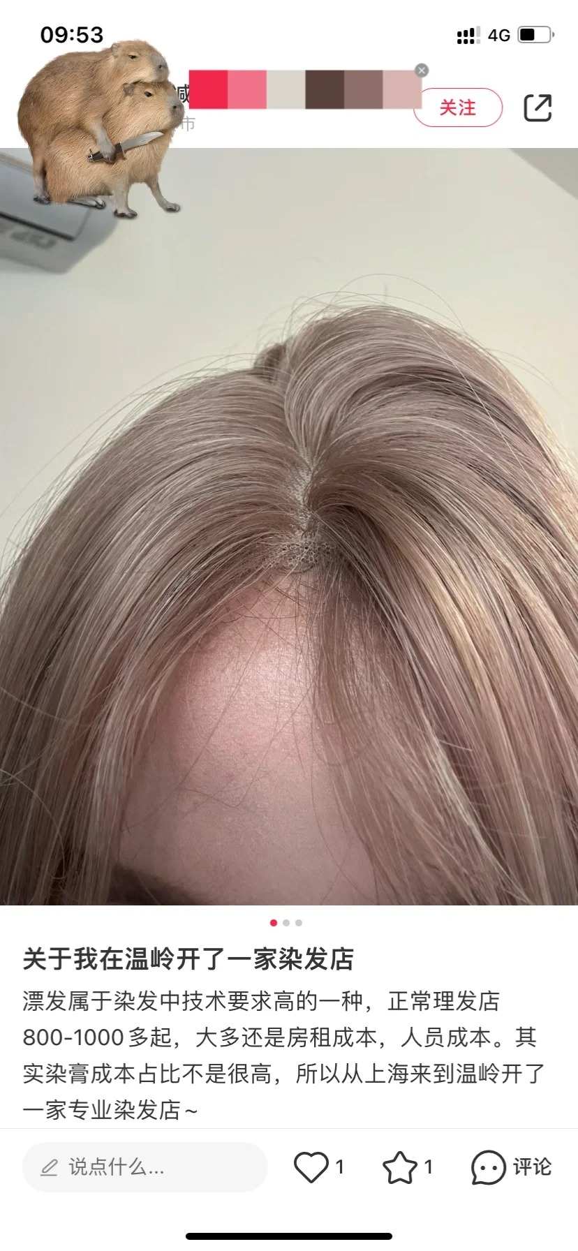哈哈哈，假发说是漂染
开理发店的盗了个美女的图，配文漂染相关文字
我兴致冲冲的点