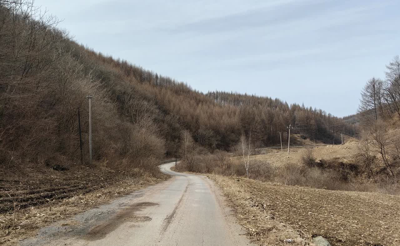 近，我开始每天写点东西。不是因为我变勤快，而是因为我发现，我的老本行可能又有价值