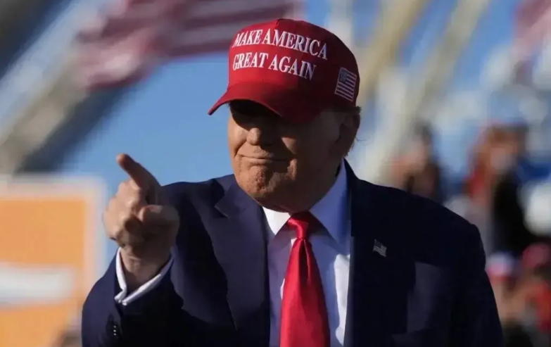 民主党有不能输的压力，输了，特朗普一定会彻查萝莉岛还有更多案件，报复之前查他海湖