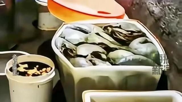 甲醛泡牛肚，3人被抓！四川警方破毒牛肚案，食品安全再敲警钟！
