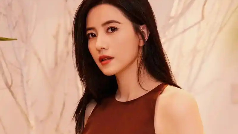 来自河北的10大美女明星，哪一个是公认的“国民女神”？