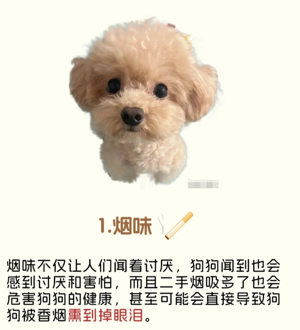 狗狗讨厌的几种味道！

狗狗的嗅觉是我们人类的1200倍！所以平时的一些刺激性气