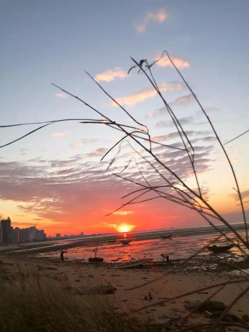 可乐爸来接可乐回家，到了医院，可乐奶奶忙前忙后收拾东西。
一个病房，都不够她转身