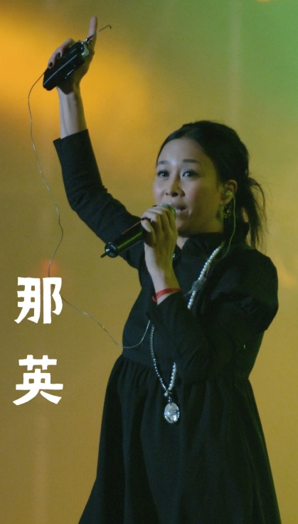 那英的职业生涯