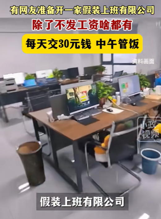一天交30院“付费上班”，新奇公司引热议：是创新还是噱头？