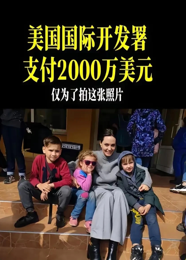 怪不得马斯克要吐槽鹰酱的国际开发署了，这可比剿马匪来钱快多了。