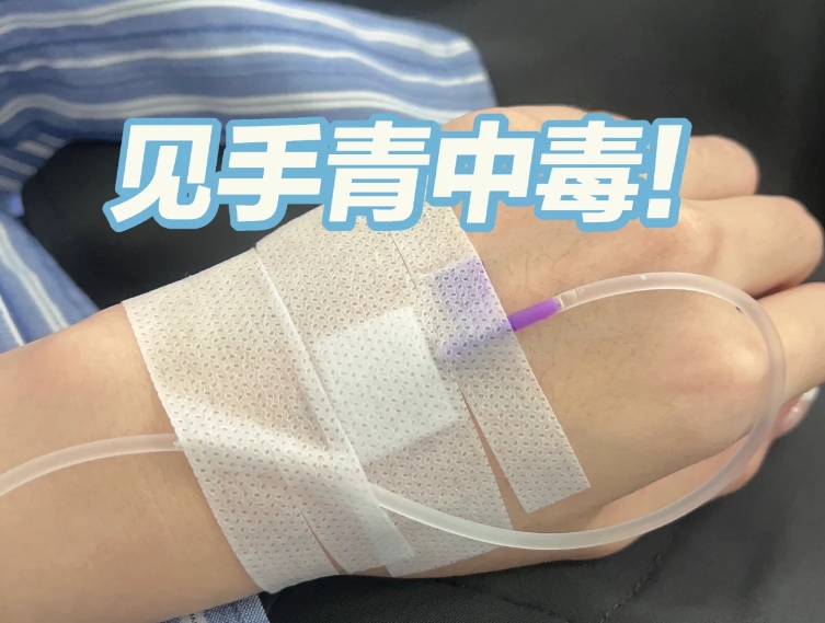 我们三个人点了一盘红见手，一盘干巴菌还有一些别的，回想起来那盘见手青有一半进了我