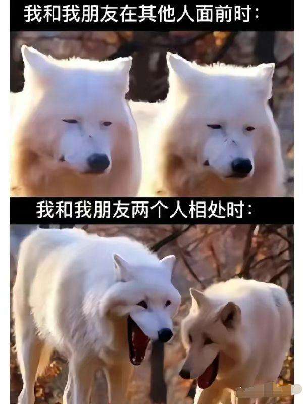 我和我那上不了台面的朋友