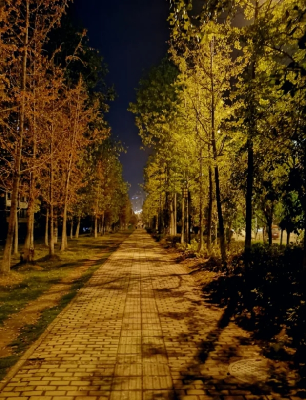 经历被“剥削”，很难听但是很真实，因为要经验没经验，要资历没资历，要选择没选择，