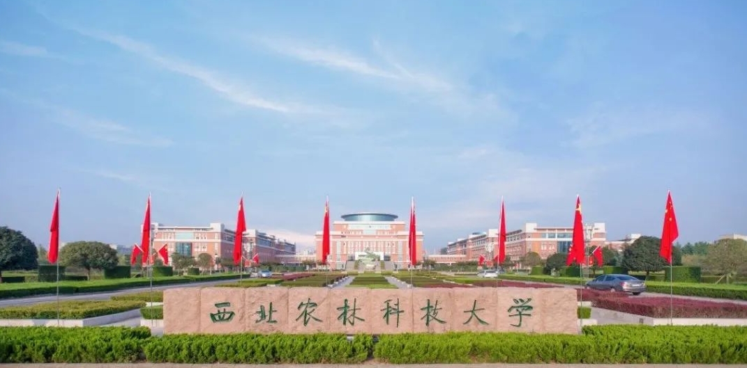性价比非常高的：

西北农林科技大学，正宗老牌985名校，论实力可以吊打一众21