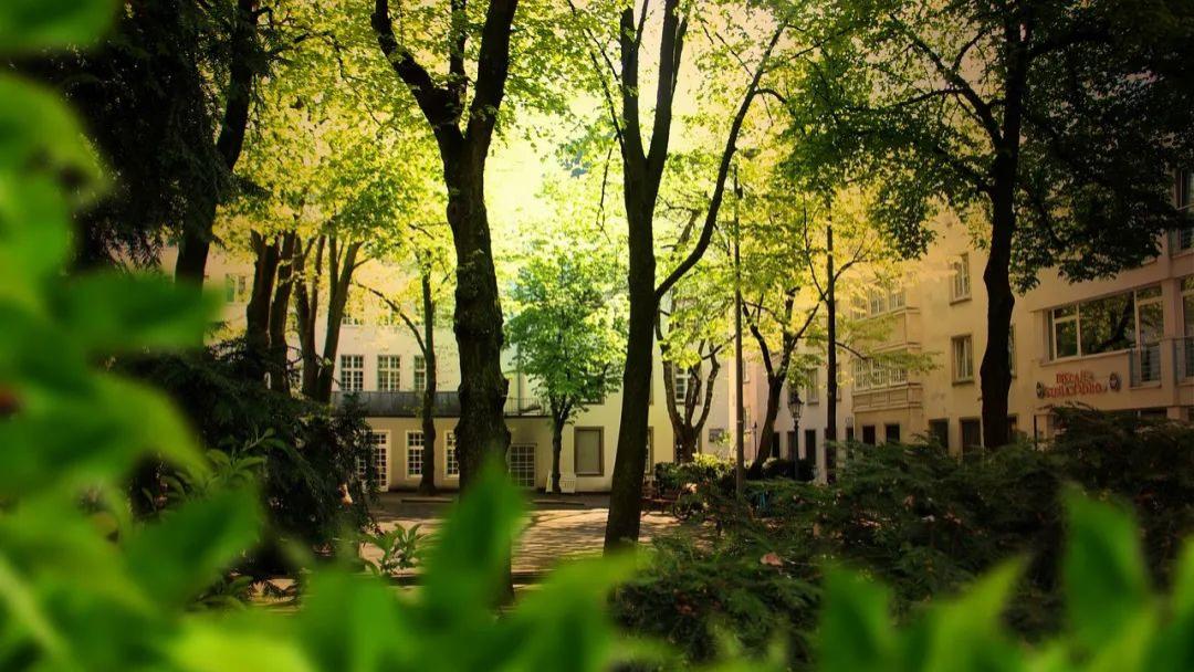 河南省大学最新排名“大洗牌”，河科大斩获前三，河南农大意外跌出前五