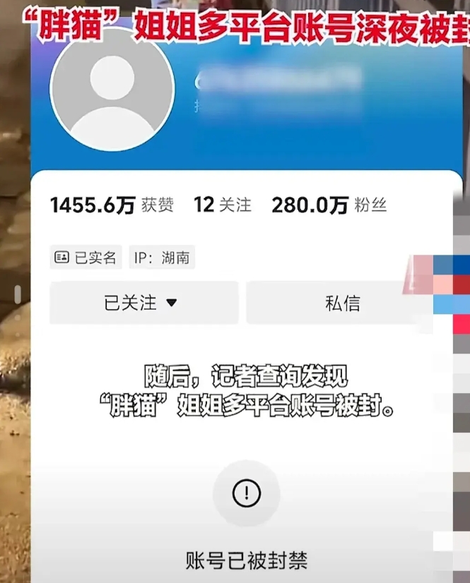 胖猫姐姐刘某操控舆论，要看其炒作的动机是什么，这很重要。
如果她看到的证据让她确